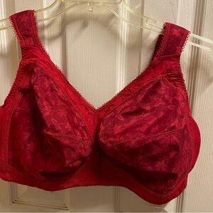 New- Elegant Red Lace Bra
